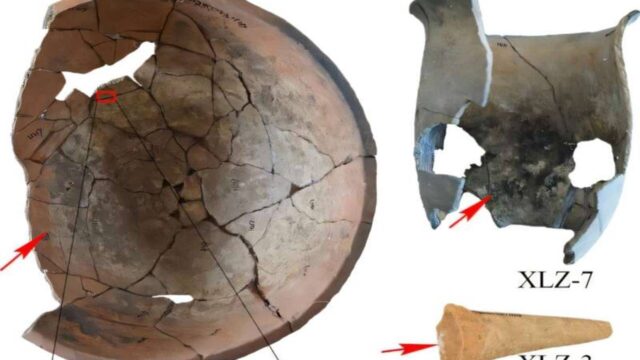 8 Bin Yıllık Kemik Tozu Pişirme Tekniği Ortaya Çıkarıldı!