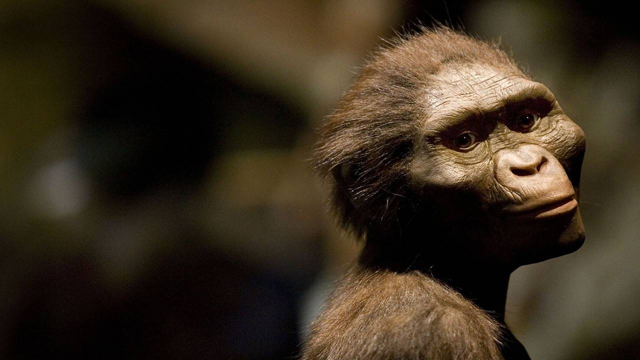 Australopithecus'lar vejetaryen miydi?