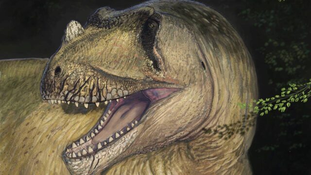 Mısır’da Yeni Dinozor Türü Tanımlandı