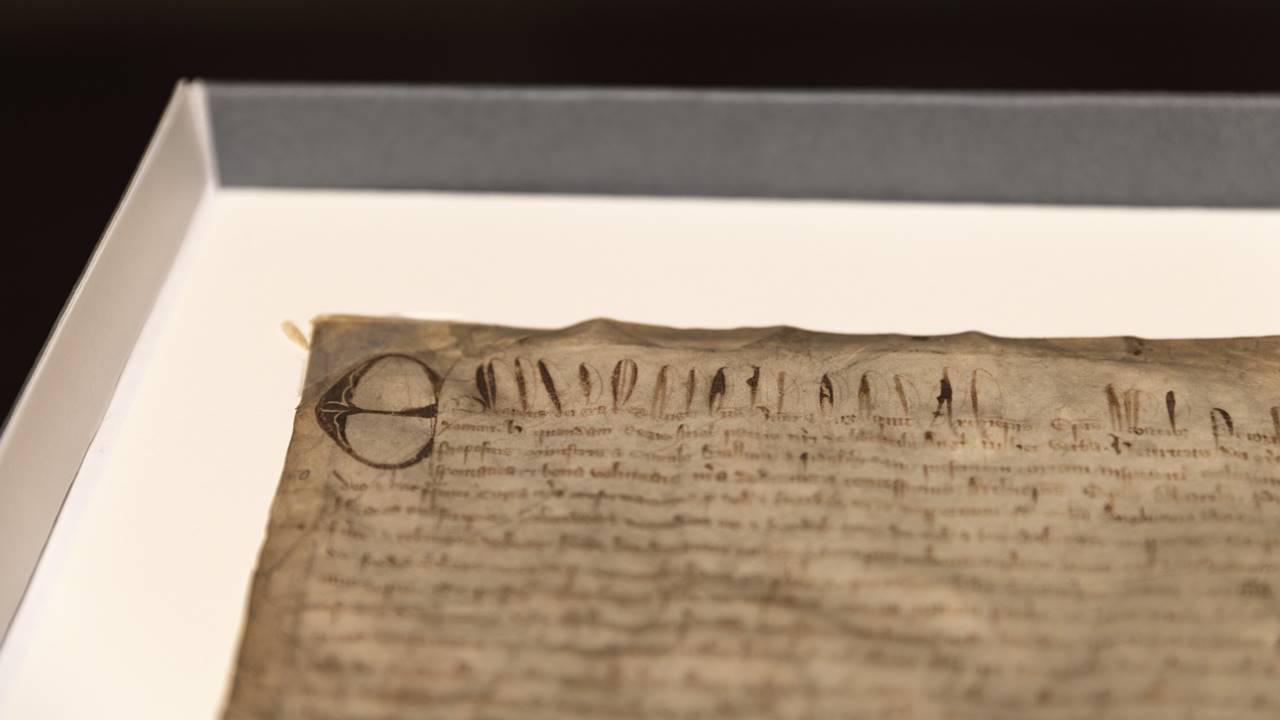 Harvard'daki Magna Carta Kopyası Hakkında Şok Gerçek!