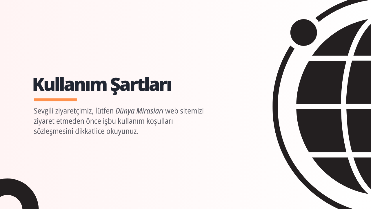 Kullanım Şartları